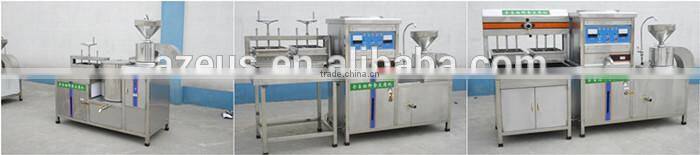 Professional manufacturer of soybean milk process machine