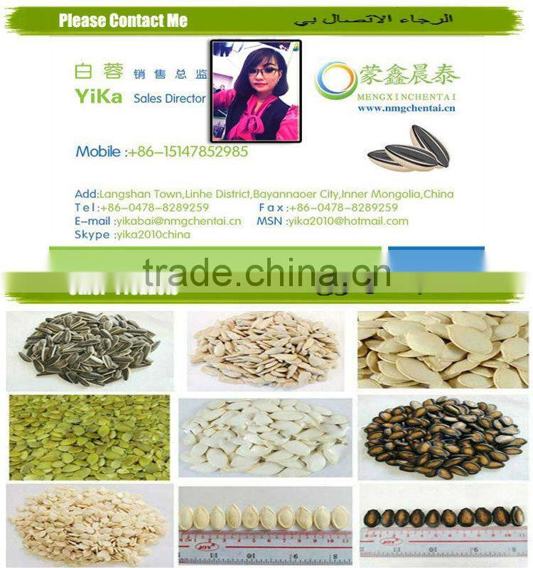 New Crop Pumpkin Kernels High Quality Inner Mongolia