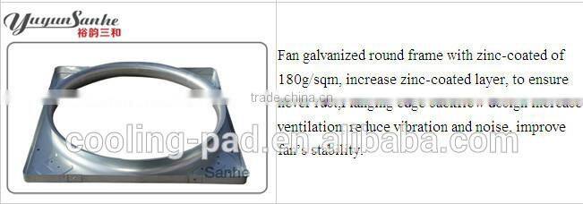 Dairy farming cows fan