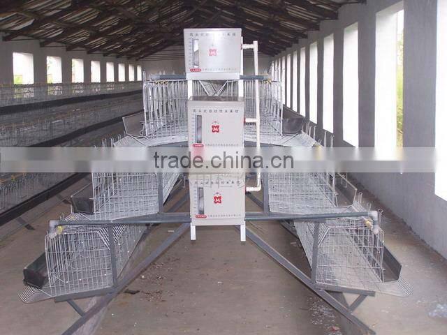 Layer cages/Chicken layer cages/ Laying chicken cages