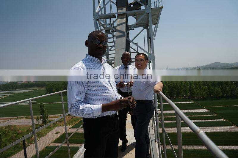 Steel material grain bucket elevator supplier