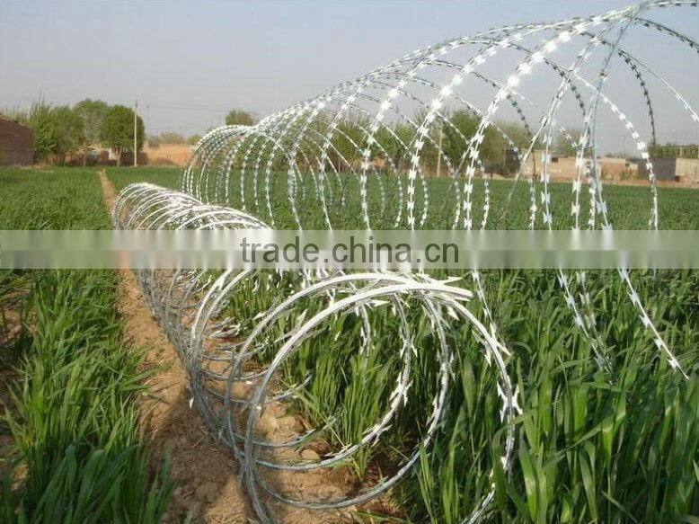 Galvanized Razor Wire