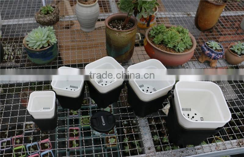 Plastic Colorful More Thickness Square Flower Pot