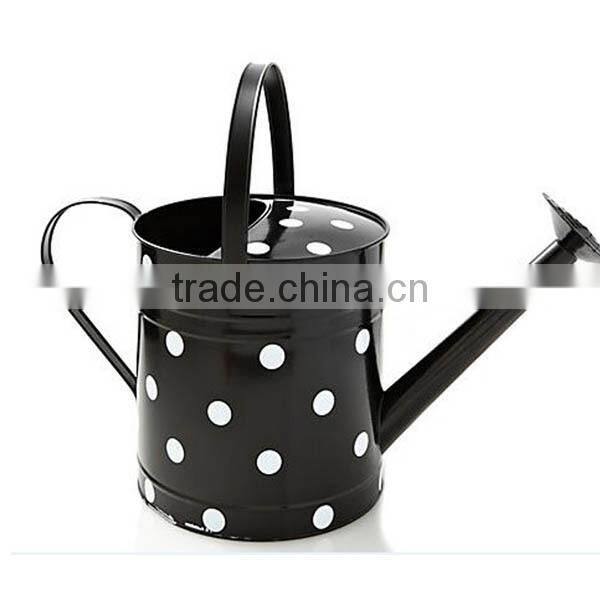 Colorful Mini Garden Metal Watering Can / Watering Pot