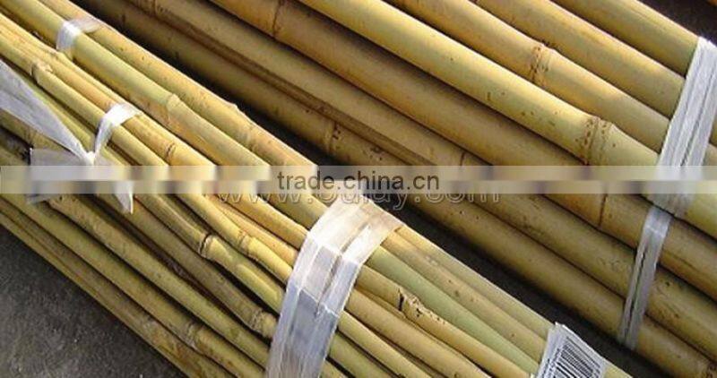 Bamboo garden canes growing sticks for planting support DYED BROWN