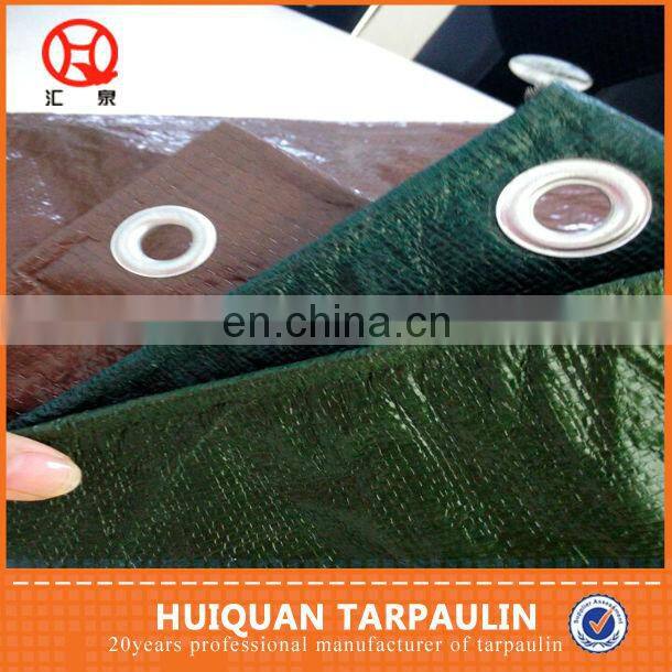 PE Material 10 x 10 mesh PE tarp