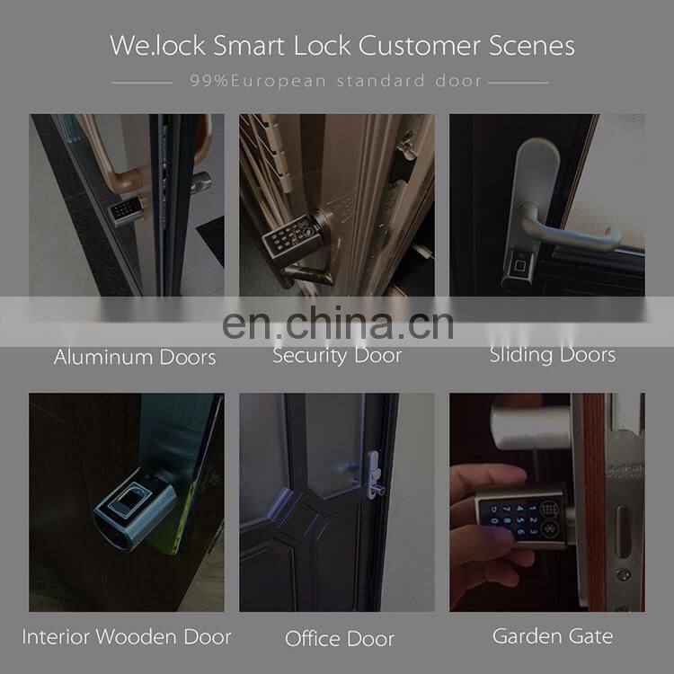 WE.LOCK Automatic door system biometric fingerprint scanner door lock APP sliding glass door push lock