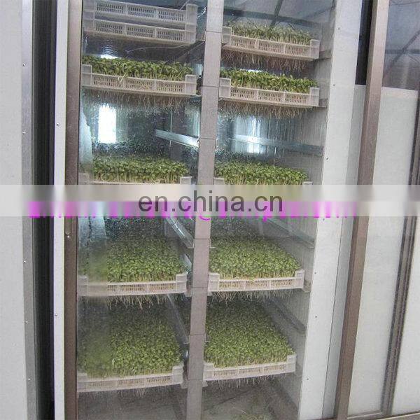 hot Sale Automatic bean soybean mungbean sprout peeling cleaning washing growing making machine