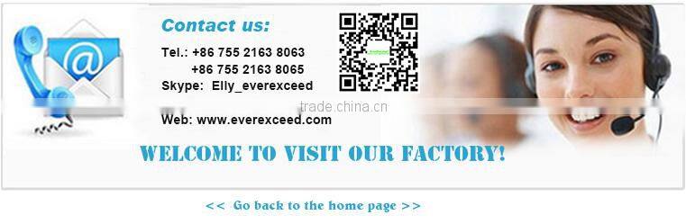 10-120KVA EverExceed Power Champion TL Series UPS for ISP/IDC/Computer center/Bank/Server center use