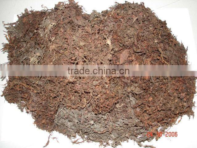 GRACILARIA SEAWEED WITH BEST PRICE AND PREMIUM QUALITY!