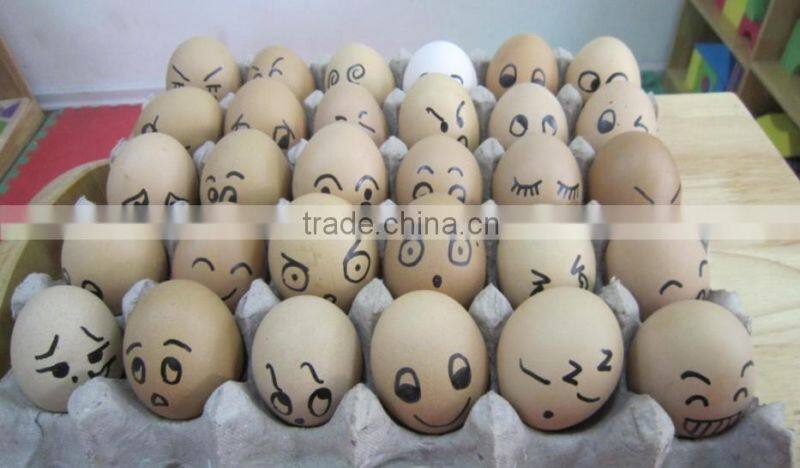 Small egg tray machine/egg box paper machine with low cost