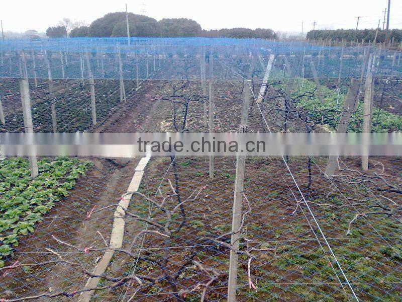 plasic BOP netting for chicken fence