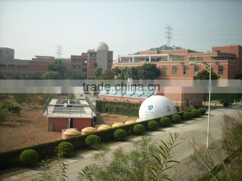 Puxin Industry Fuel Application China Biogas Plant Production
