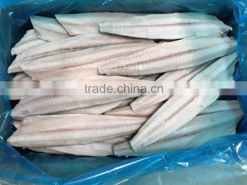 Spanish mackerel Fillet/King Fish meat