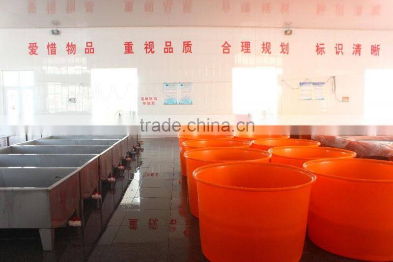 dried pear manufacture