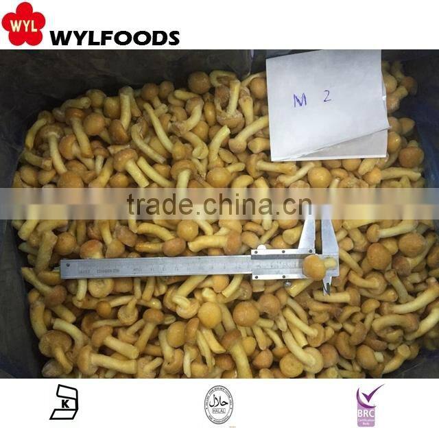 wholesale frozen seaweed salad 2016