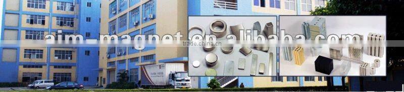 Micro-motor ndfeb magnet Tile