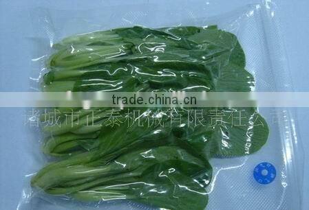 Dz-700/2s Vacuum Packing Machine