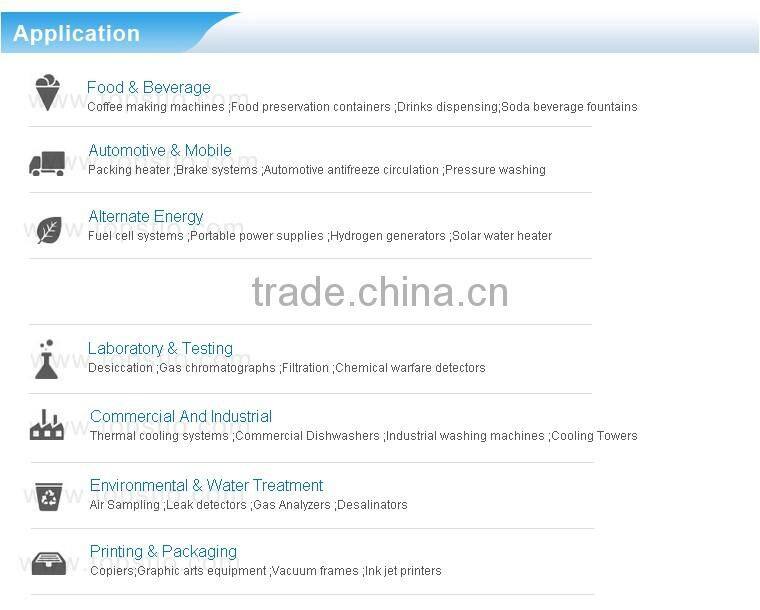 Experienced Mini pump China Supplier