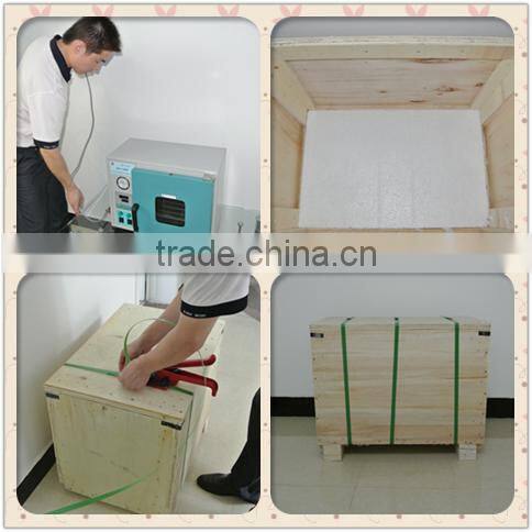 Low Temperature Ovens,Small Vacuum Oven