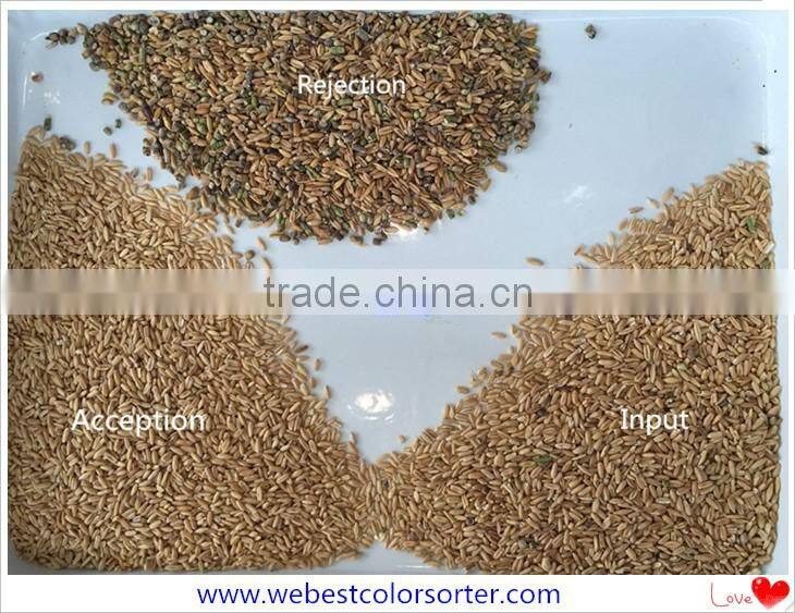 Excellent quality RGB color sorter with engineer overseas servive available