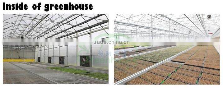 Cheap commercal polycarbonate sheet greenhouse