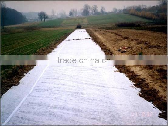 2014 China 100% polypropylene eco-friendly agriculture film