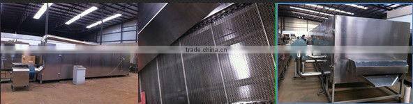 breakfast cereal/corn flakes making machine/corn flakes double-screw bulking machine