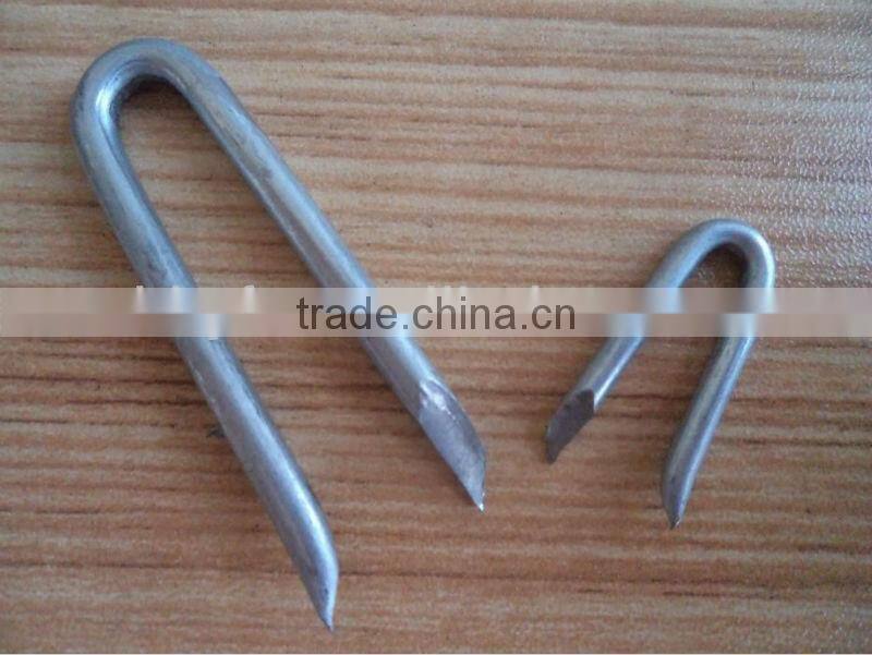 U-type nails china supplier on hot sale