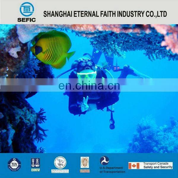 Europe Market 12L Aluminum Scuba Tank with DIN/York Valve