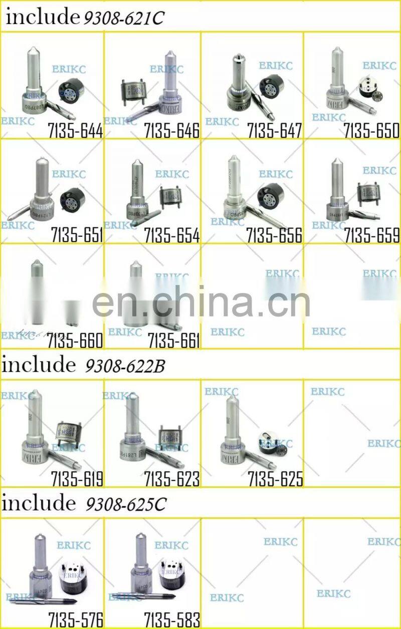 ERIKC car repair tool kit 7135-619 include control valve 9308-622B spray nozzle L244PBD for Ssangyong EJBR04501D A6640170121
