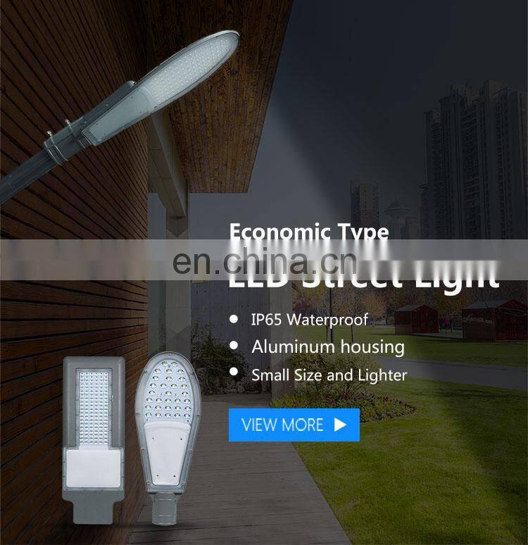 Professional lighting 60 watt led street lamp
