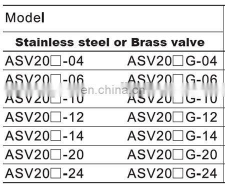 Stainless steel double acting angle seat actuator valve