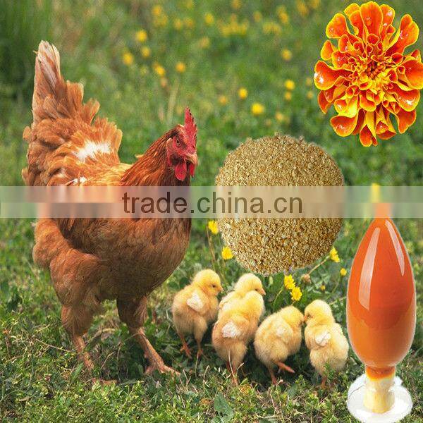 Natural Plant Extract 10% Lutein by HPLC