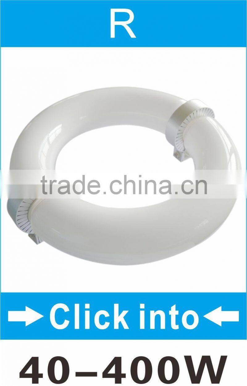 dimmer induction lamp