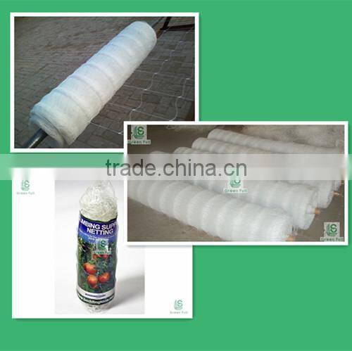 Garden and Plant Plastic Trellis and Fencing Mesh Support net(Green) - ideal for climbers, runner beans and sweet peas