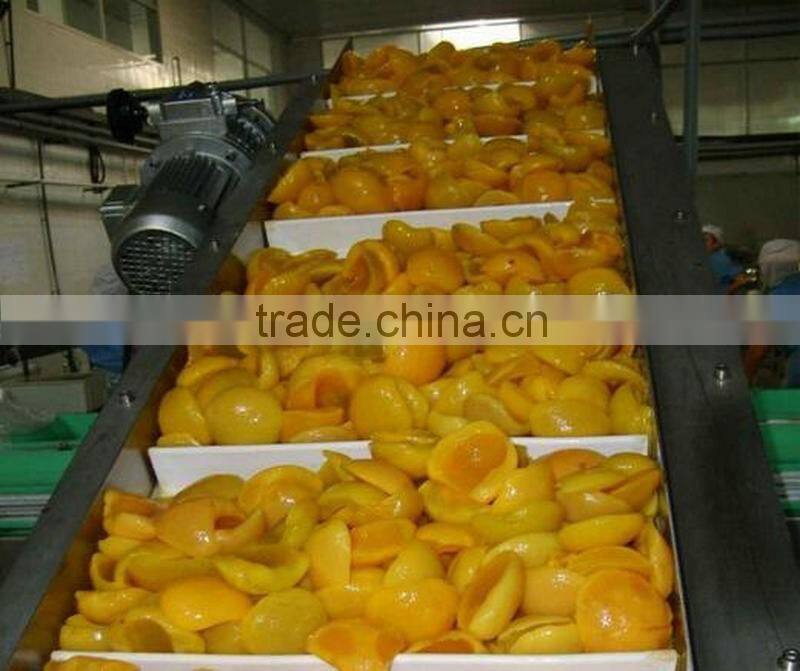 Adjustable speed vegetable belt conveyor price