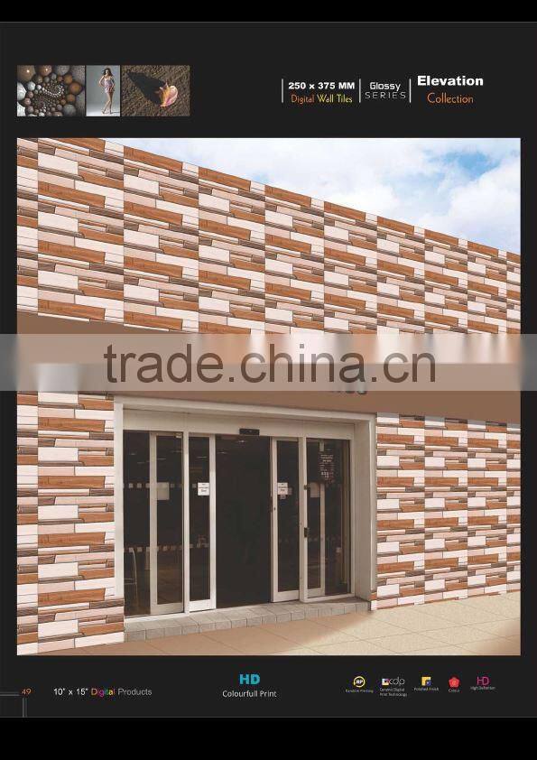 10 X 15 Digital Wall Tiles...