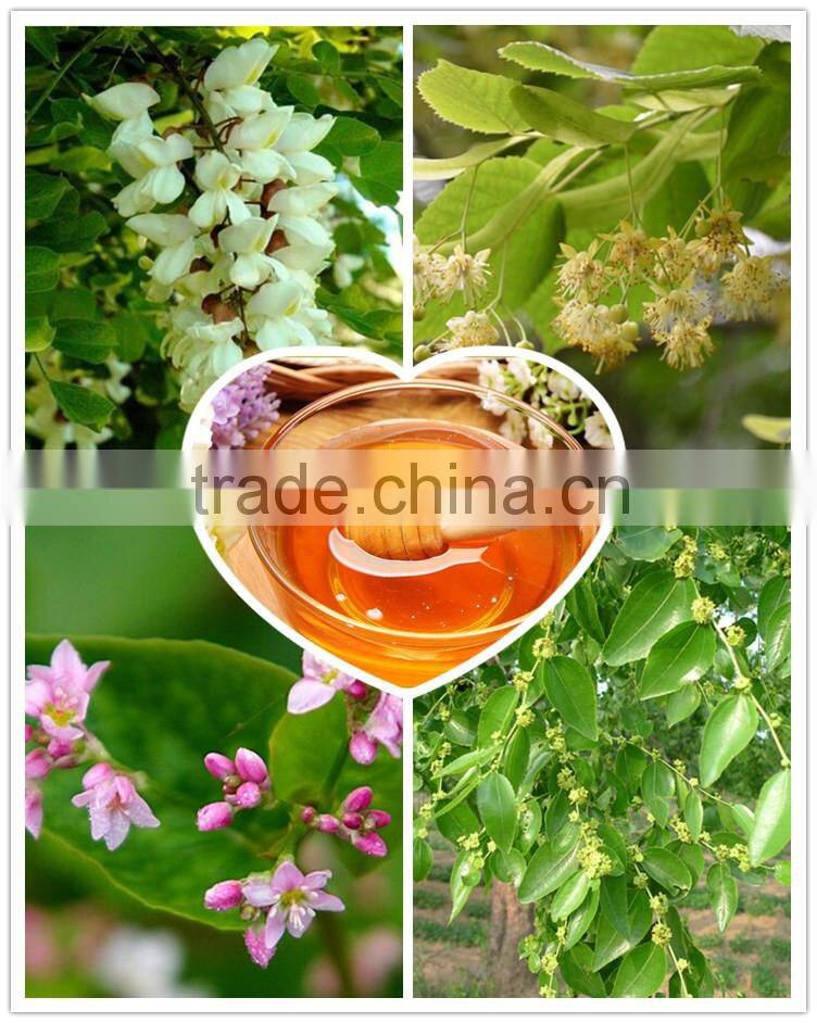 Supply gold standard and organic best honey