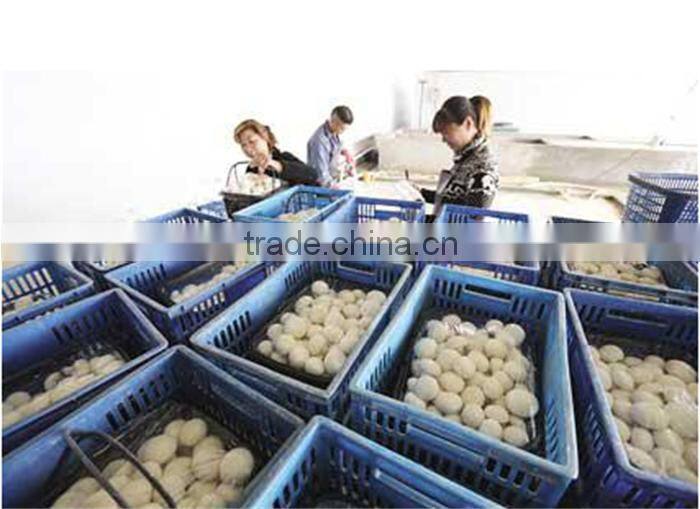 agaricus bisporus/double -spore extract/30%~50% polysaccharide by uv