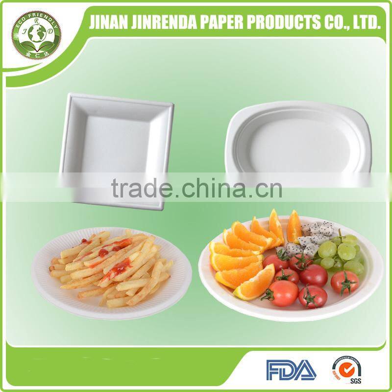 Disposable Plate with sugarcane pulp