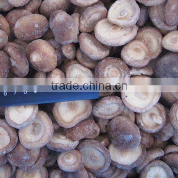 Shiitake Mushrooms 1kg