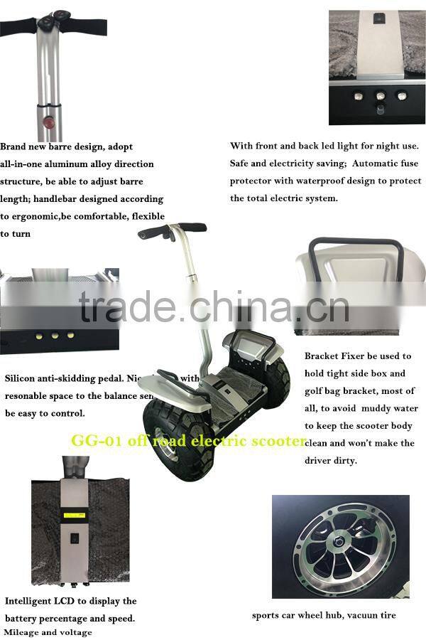 Factory outlet 2 wheel stand up electric chariot x2