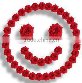 Lastest fashionable car vent clip for air freshing(XM)