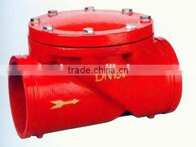 Cast Steel Grooved Check Valve