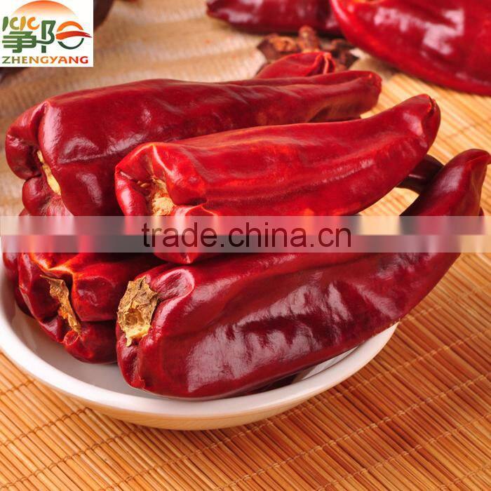 new crop manufacturer supply dried red sweet paprika high ASTA