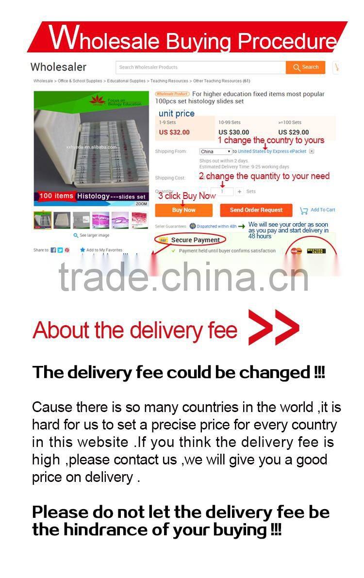 High quality Flexible spinal column with colour coded regions