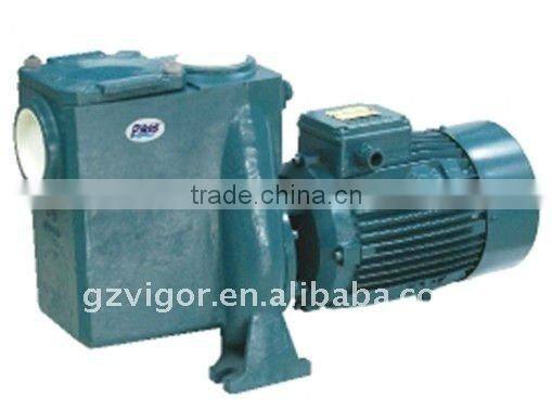 NSK bearing Swimming Pool Water Pump