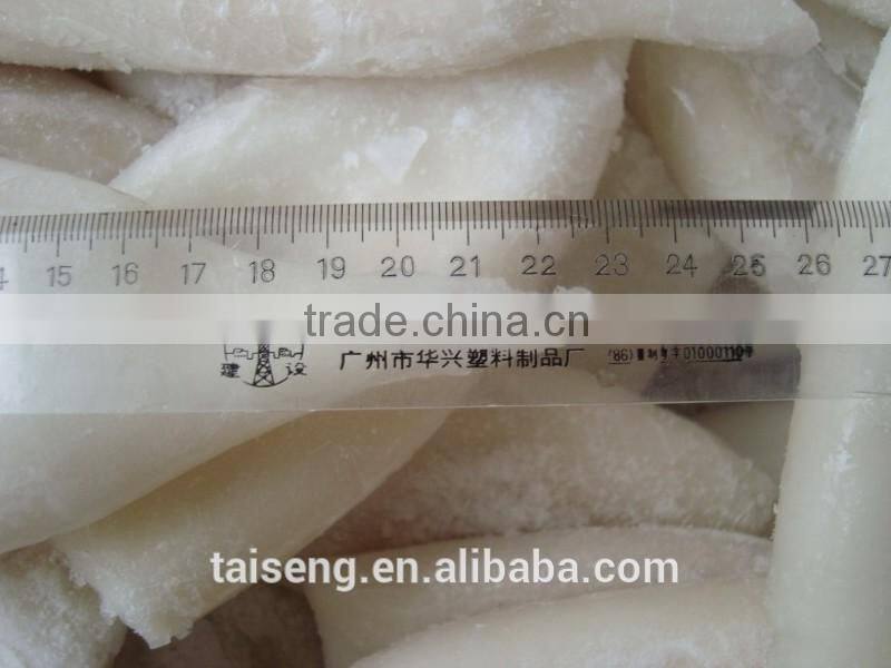 Illex argentinus squid jigs 300-400g bait fish for Tuna