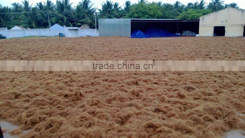 Indian Coco Peat / 5kg Coconut Peat Block